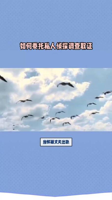 婚外情法律规定_婚外情法律_婚外情法律怎么处理