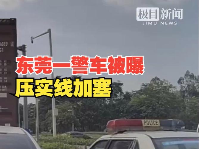 东莞调查侦探_东莞调查公司收费标准_东莞调查